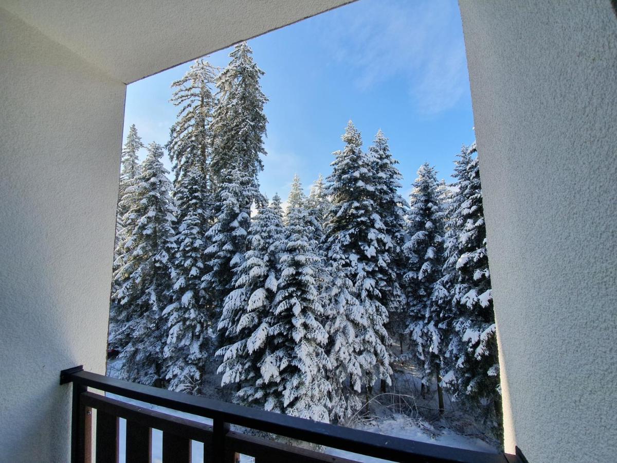 Pinewood Ang Luxurious Apartment A43, Borovets Gardens Exterior photo