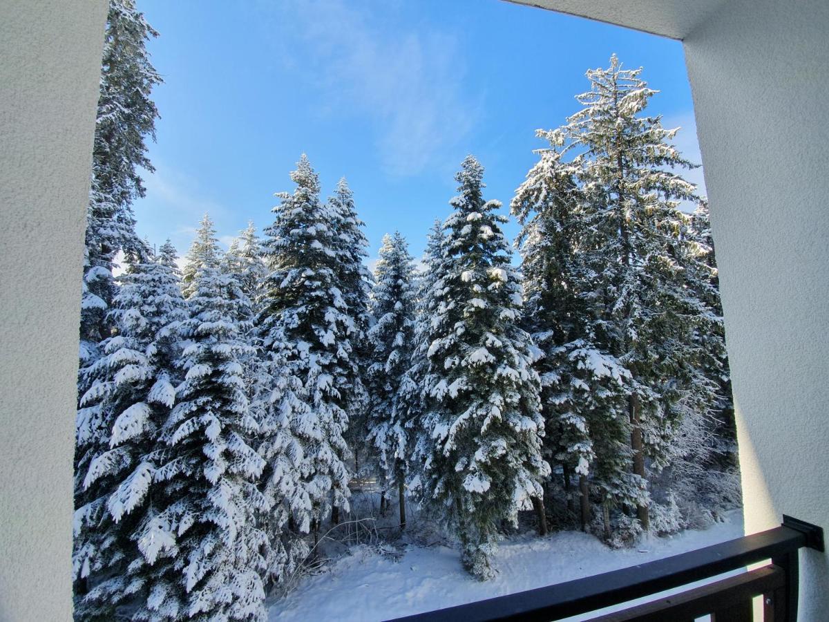 Pinewood Ang Luxurious Apartment A43, Borovets Gardens Exterior photo